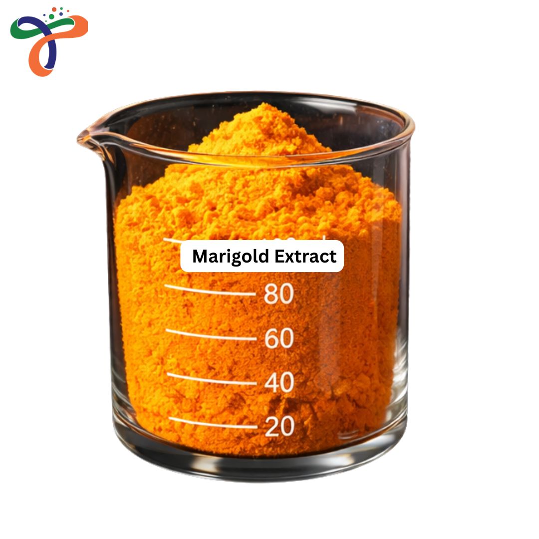 Marigold Extract